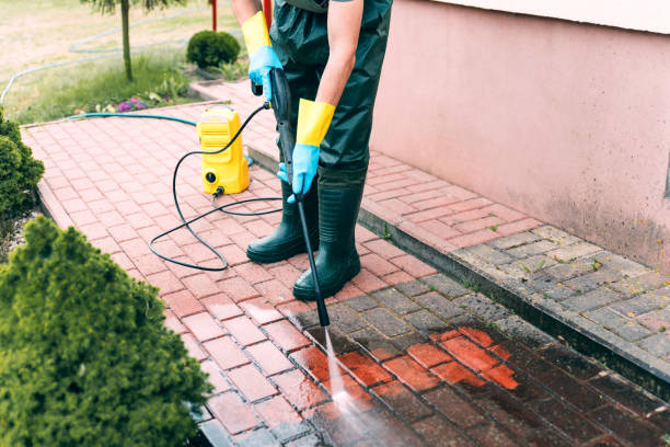 Best Sidewalk and Walkway Cleaning  in Lower Lake, CA