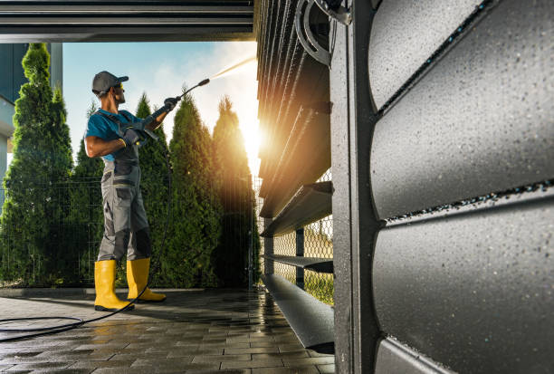 Best Roof Washing  in Lower Lake, CA